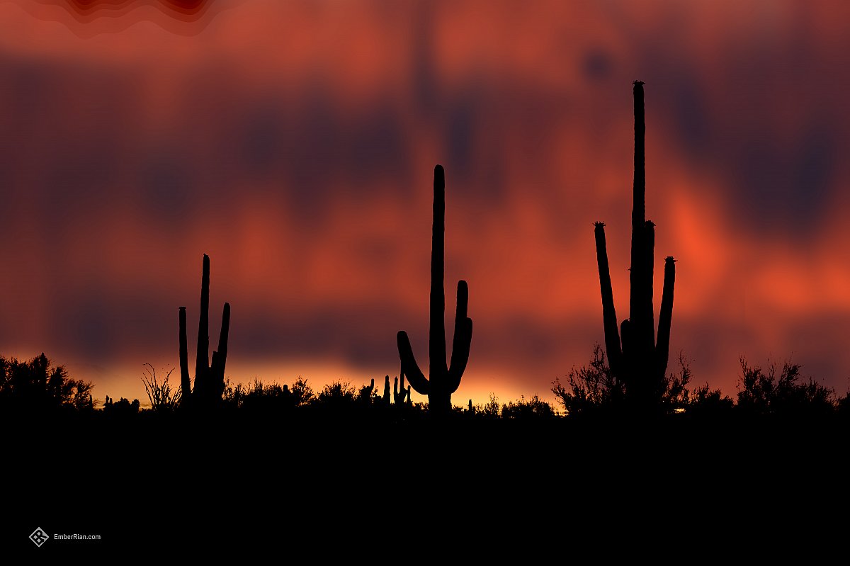 Arizona Sunset.jpg